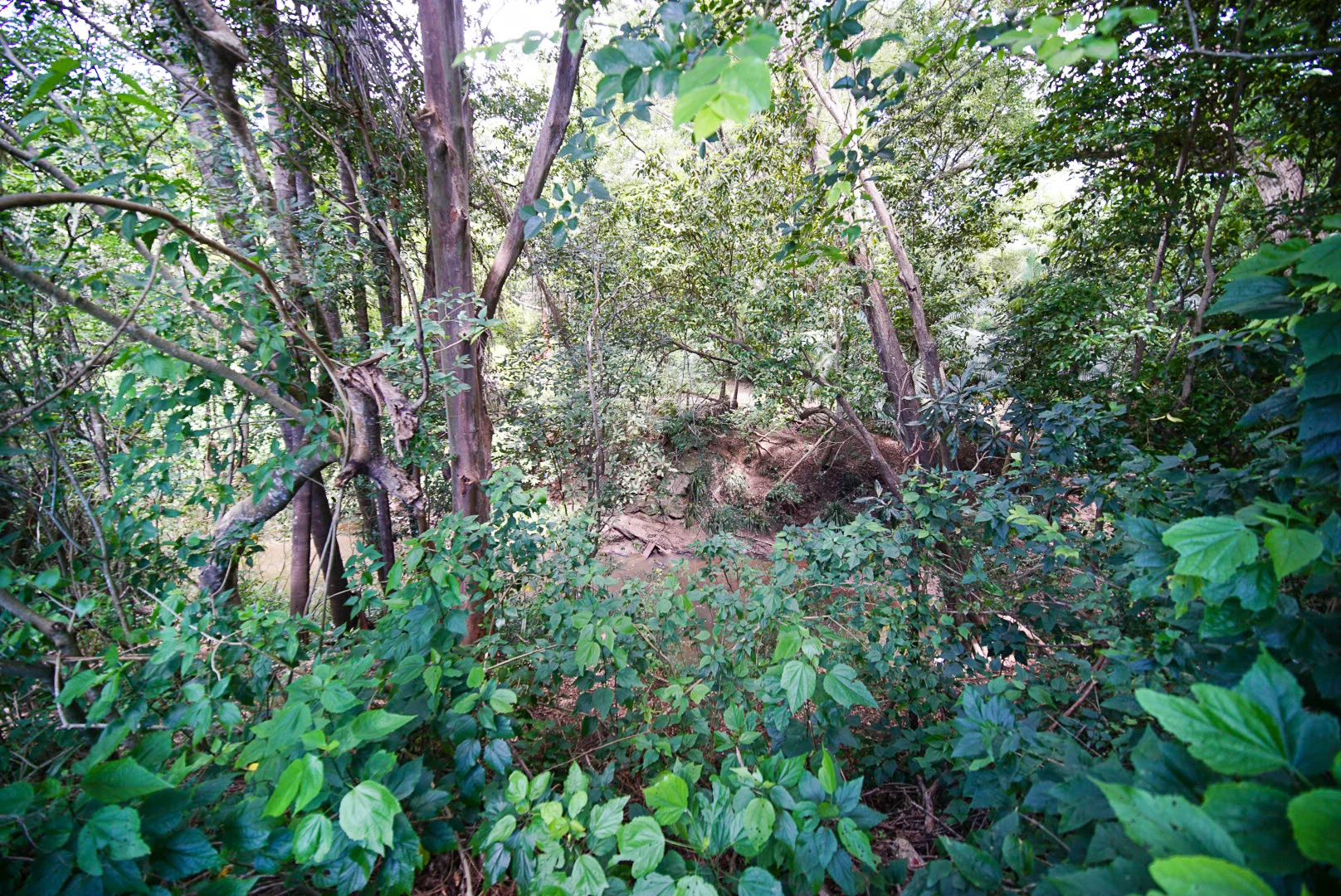 Additional image 13 of 56 Price Street, Nambour QLD 4560