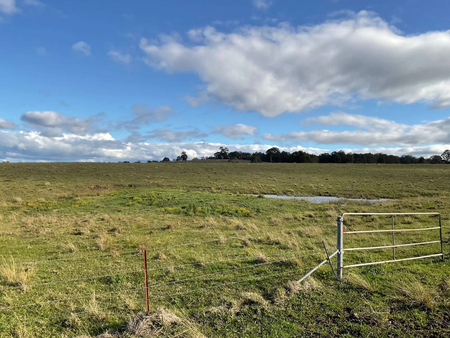 Additional image 2 of Anambah NSW 2320