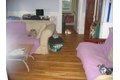 Additional image 39 of 24 Oak Square Ave Unit 2, Boston, MA, 02135