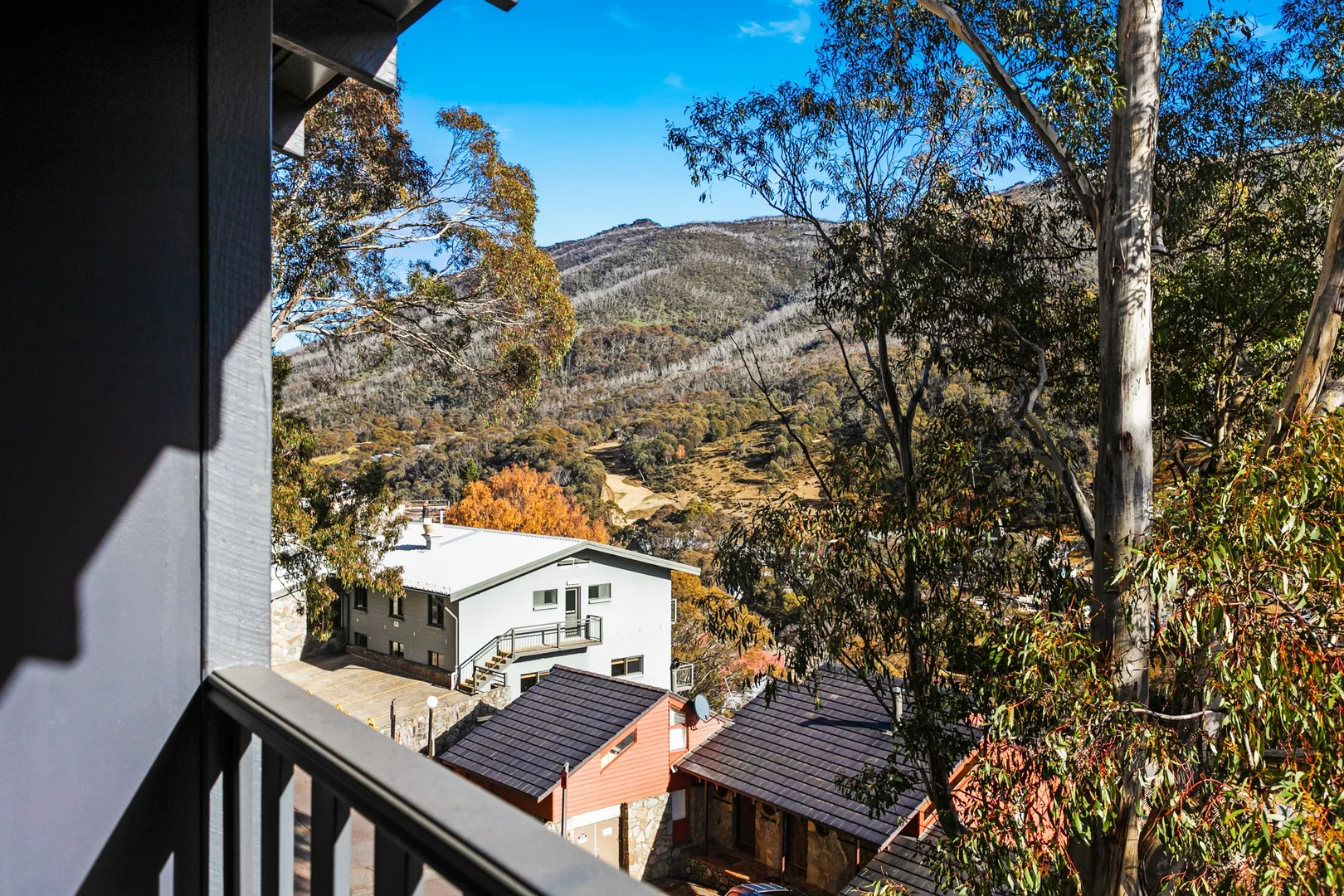 Additional image 7 of 3/Karas Bobuck Lane, Thredbo NSW 2625