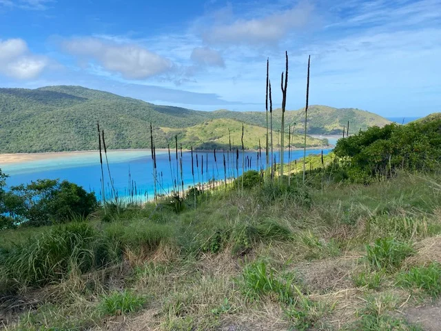 Additional image 5 of Lot CM Basil Bay Precinct, Keswick Island, Mackay QLD 4740