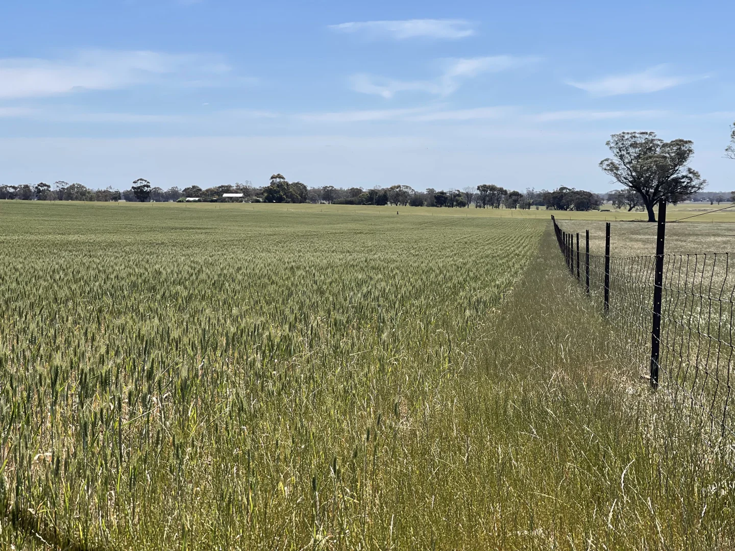 Additional image 21 of 0 Mathison Road, Gre Gre South VIC 3477