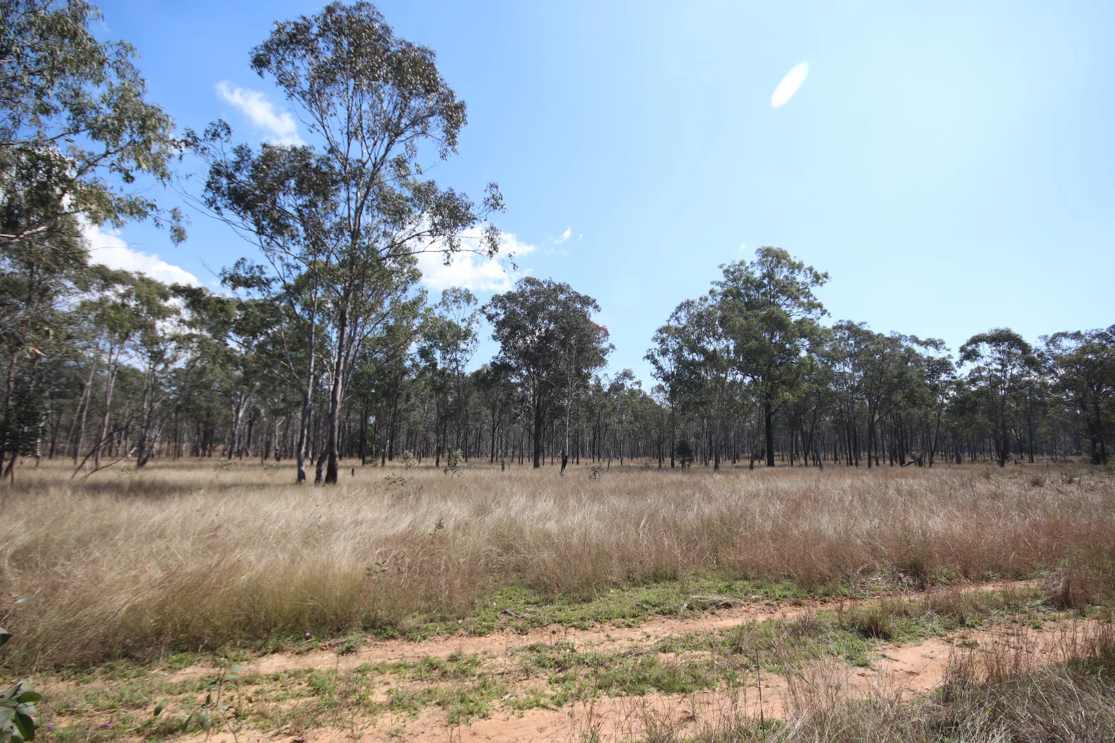 Additional image 3 of Lot D Mundubbera Durong Road, Brovinia QLD 4626