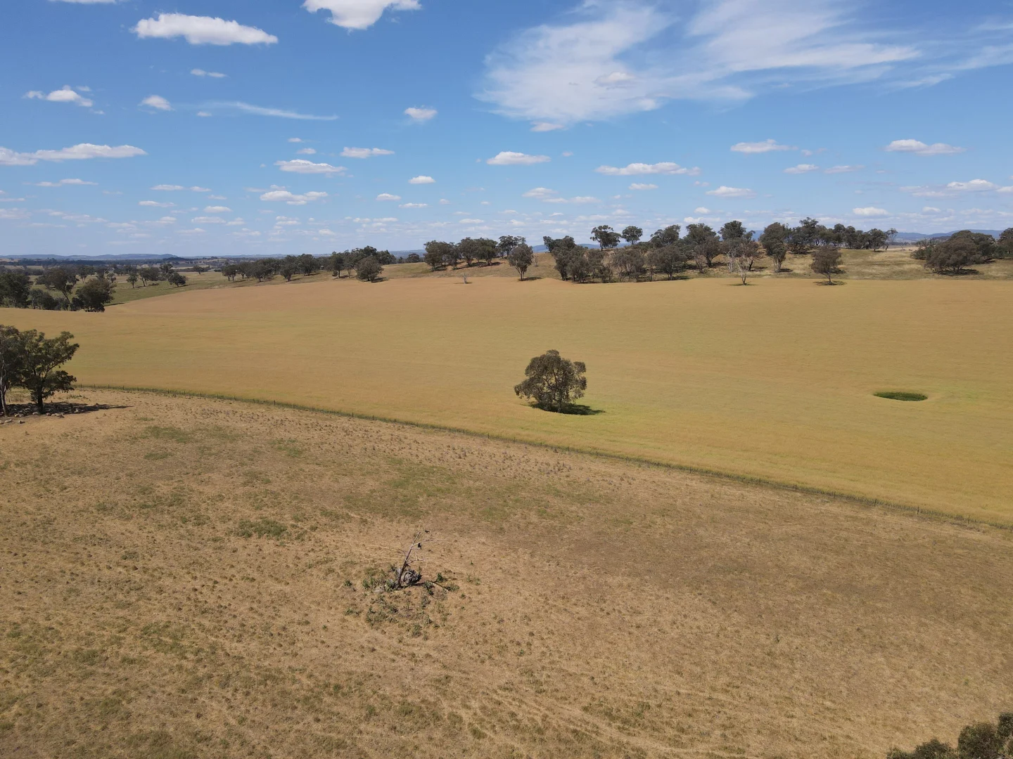 Additional image 7 of 1 Tremains Lane, Toogong NSW 2864