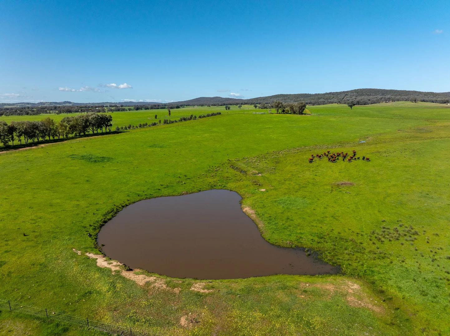 Additional image 26 of 25 Wrigleys Road, Big Springs NSW 2650