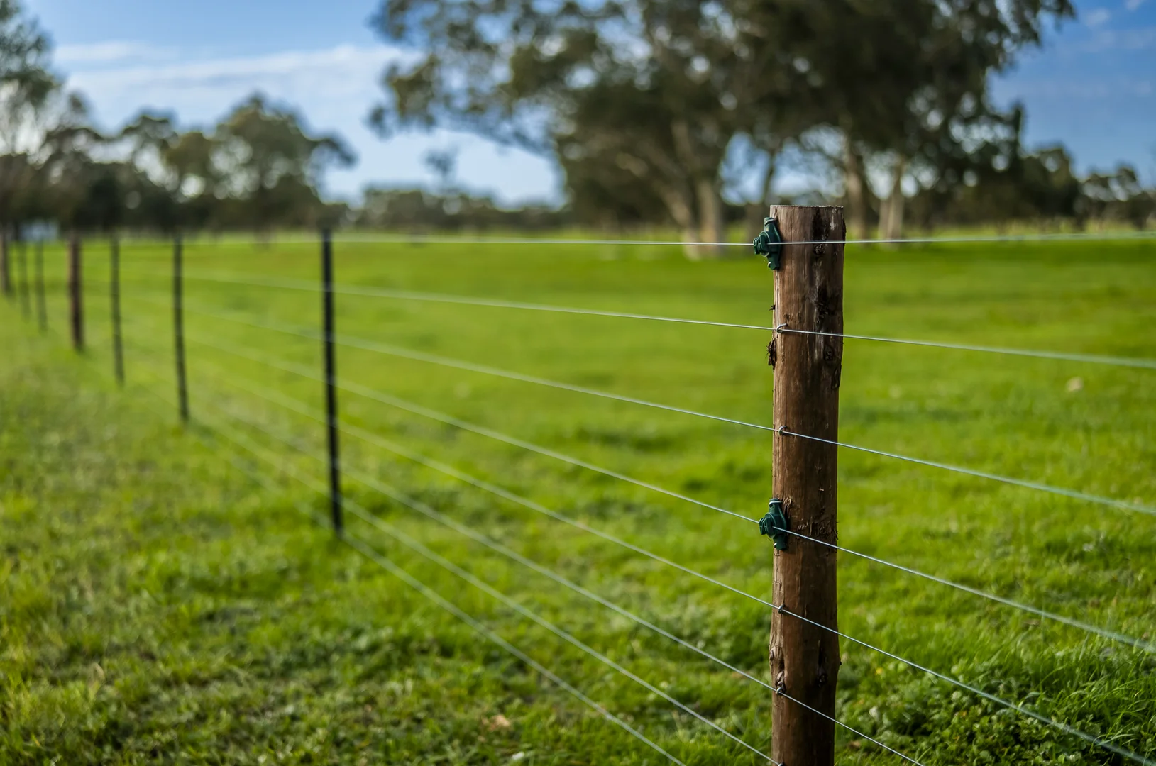 Additional image 14 of 325 Maranoa Downs Road, Stewart Range SA 5271