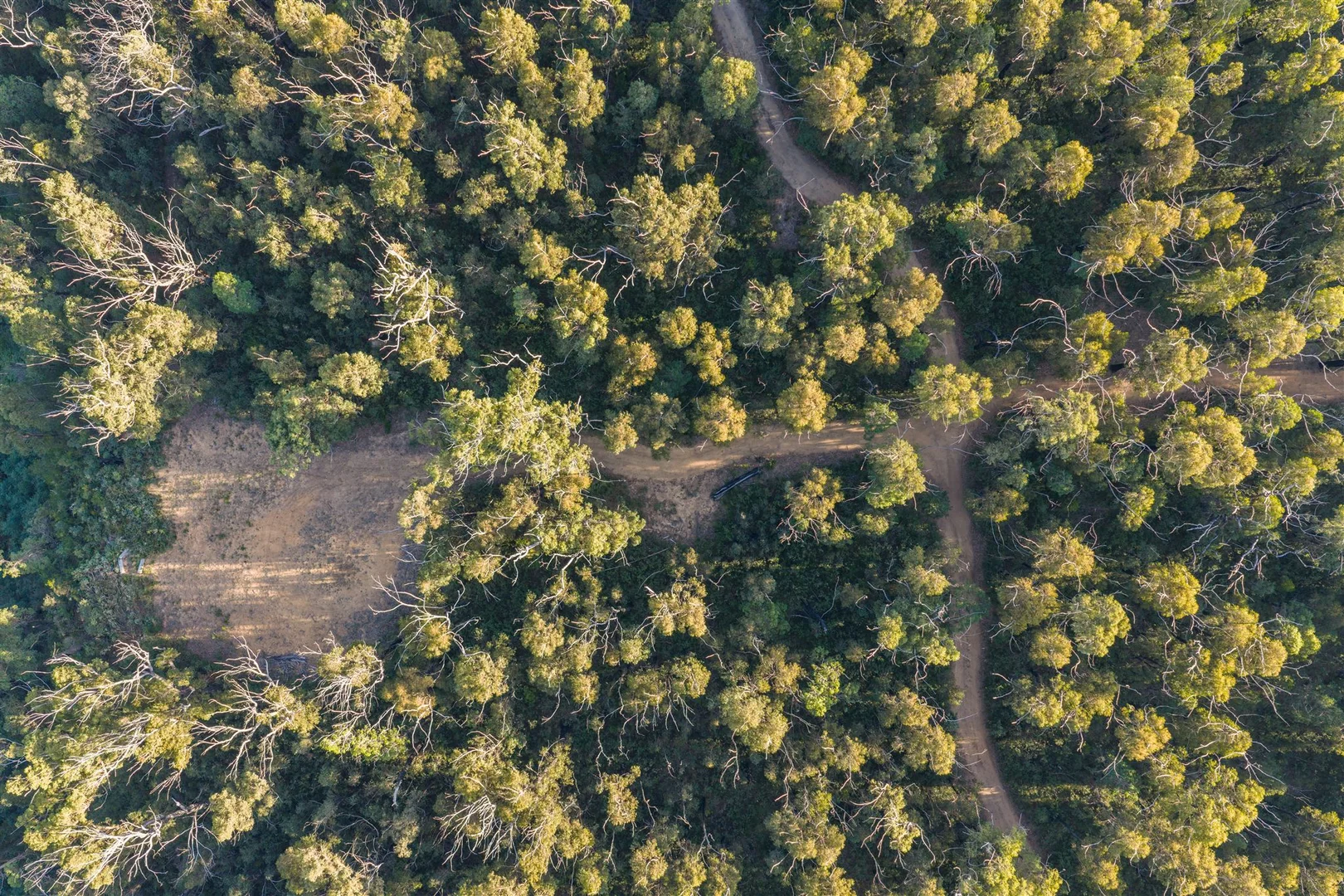 Additional image 6 of 161 Teudts Road, Bundanoon NSW 2578