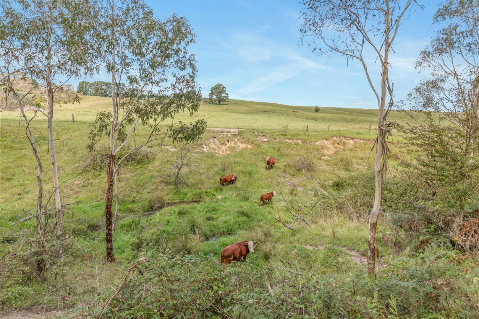 Additional image 7 of Lot 103 Old Bathurst Road, South Bowenfels NSW 2790