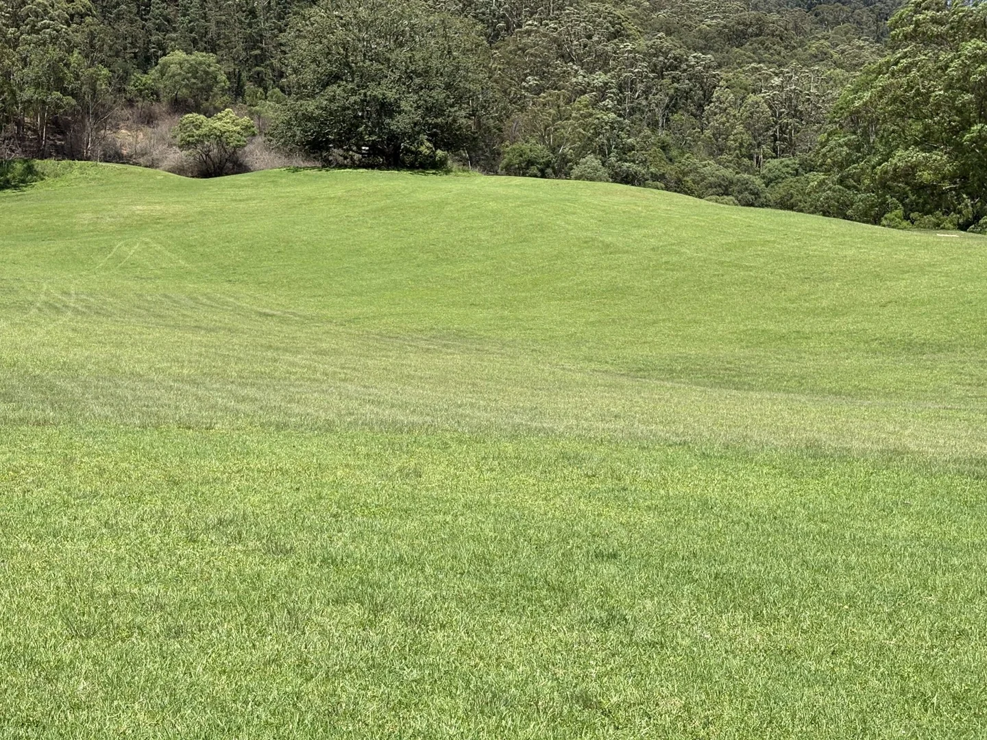 Additional image 16 of 65c Marden Lane, Kangaroo Valley NSW 2577