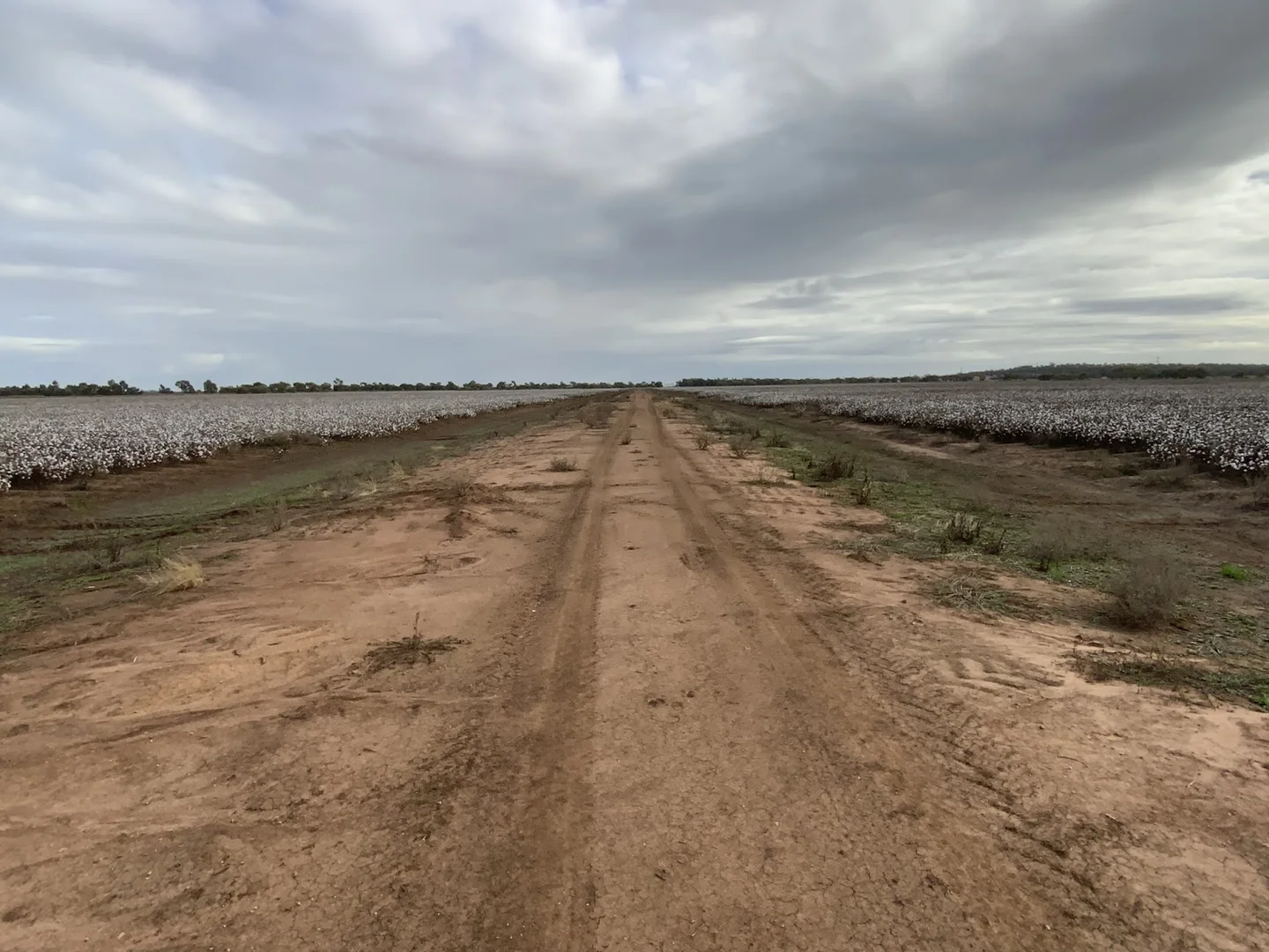Additional image 6 of Part Farm 1082, 1386 Murrami Road, Leeton NSW 2705