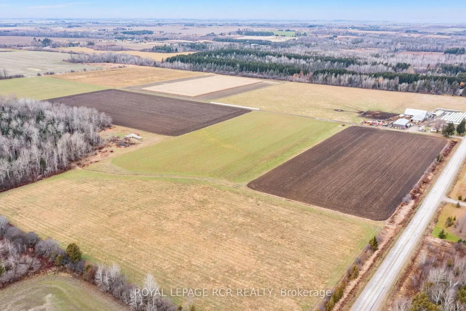 Additional image 18 of 553456 Mono Amaranth Townline