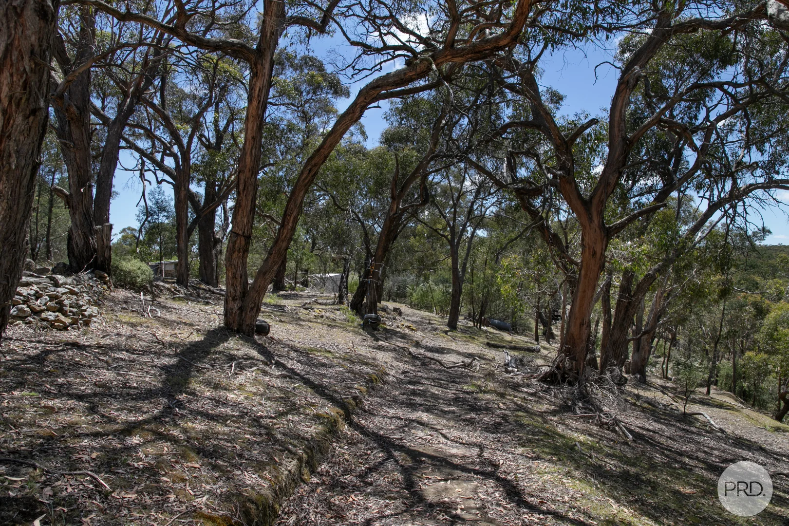 Additional image 9 of 456 Ferrers Road, Dereel VIC 3352