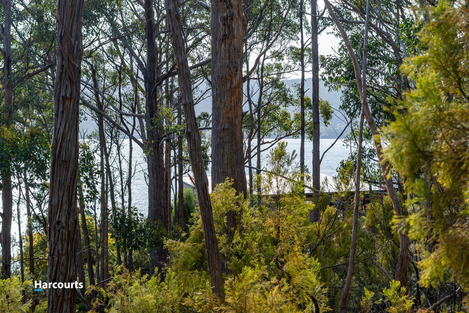 Additional image 23 of 44 Klasen Road, Police Point TAS 7116