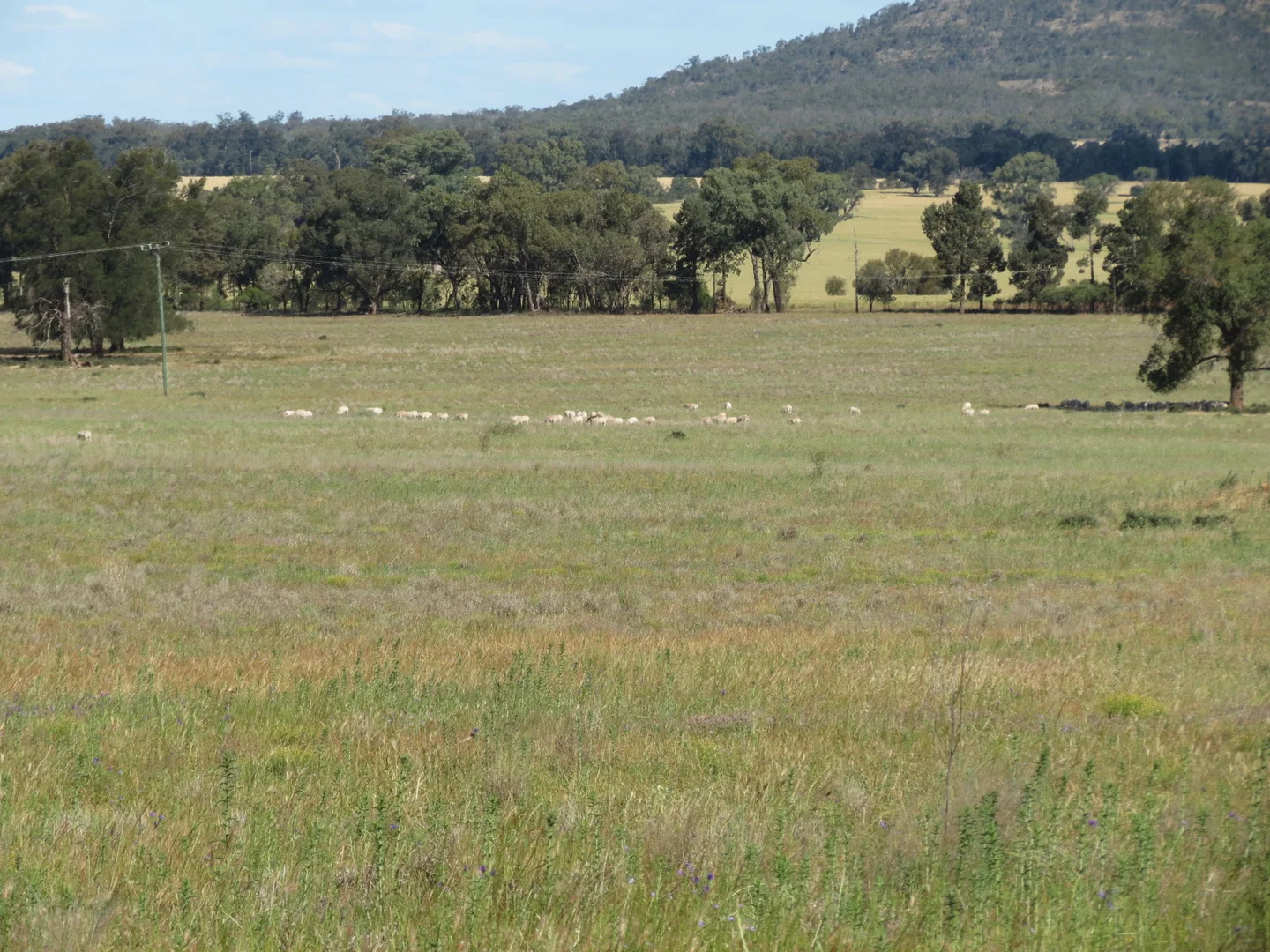 1032 Manna Forest Rd, Burcher NSW 2671 photo 5