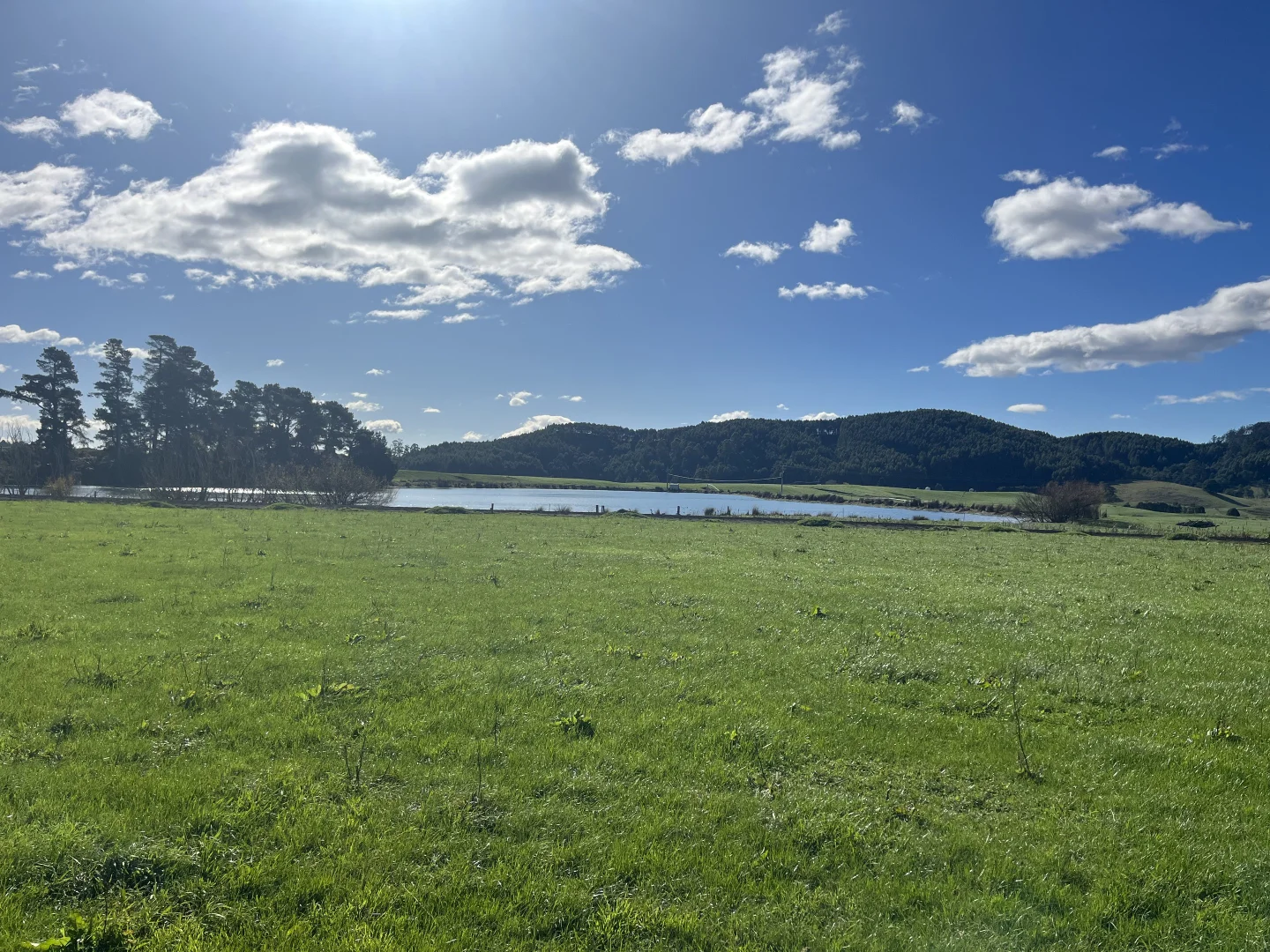 Additional image 16 of 630 Ten Mile Track, Springfield TAS 7260