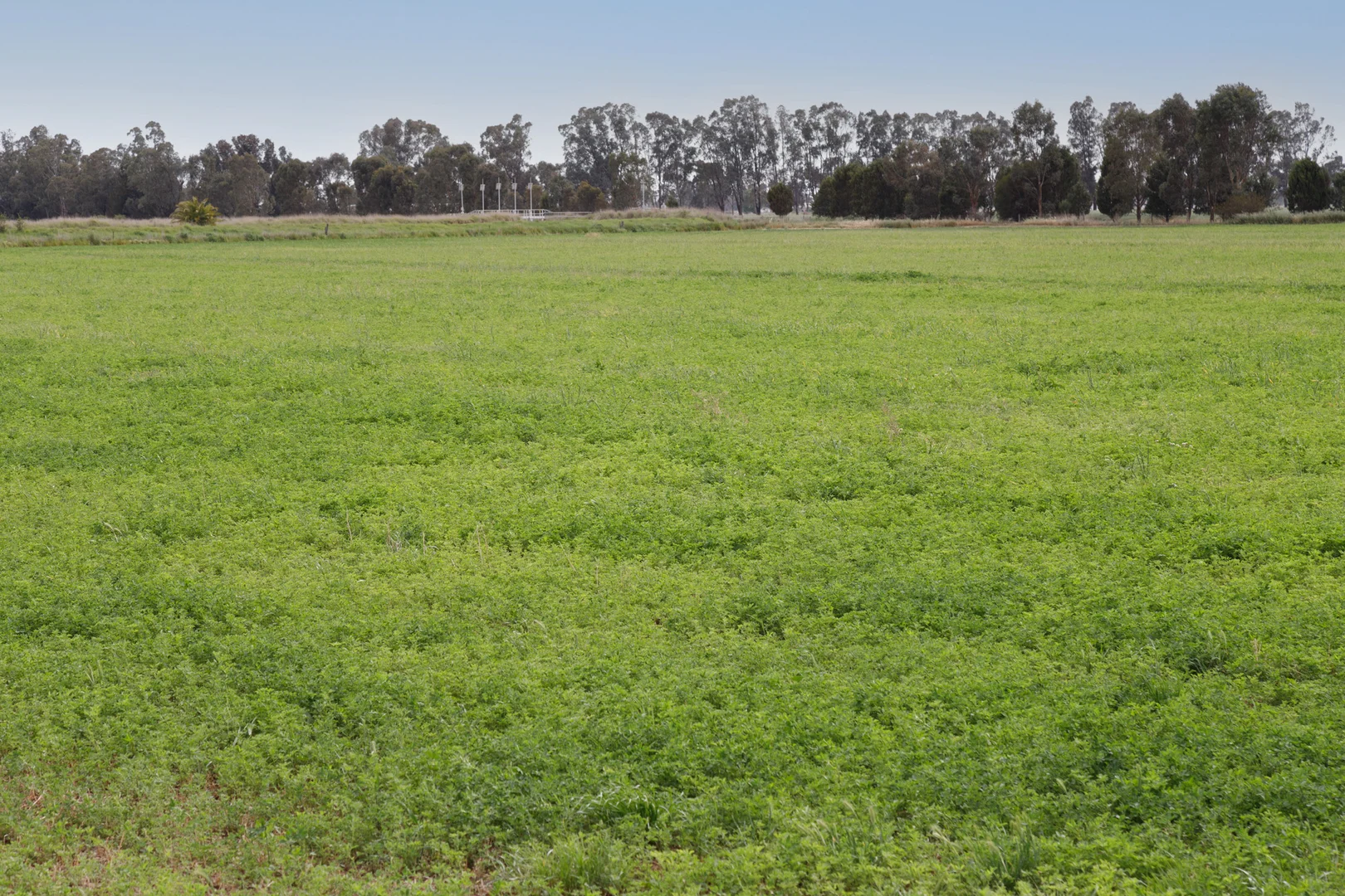 Additional image 5 of 1000 Finlay Road, Kyabram VIC 3620