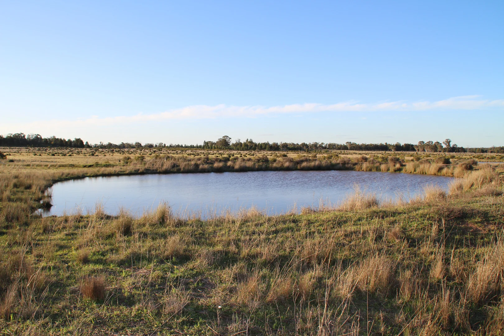 Additional image 26 of Lagoon Creek Road, Minore NSW 2830