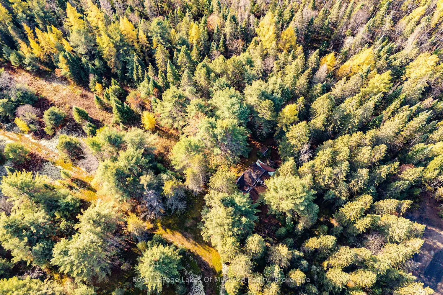 Additional image 9 of 267 & 321 Cardwell Lake Road