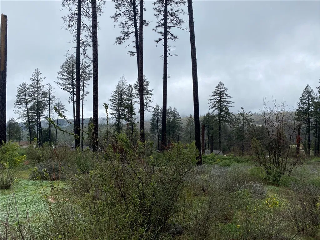 Additional image 39 of 8941 Skyway, Paradise, CA 95969