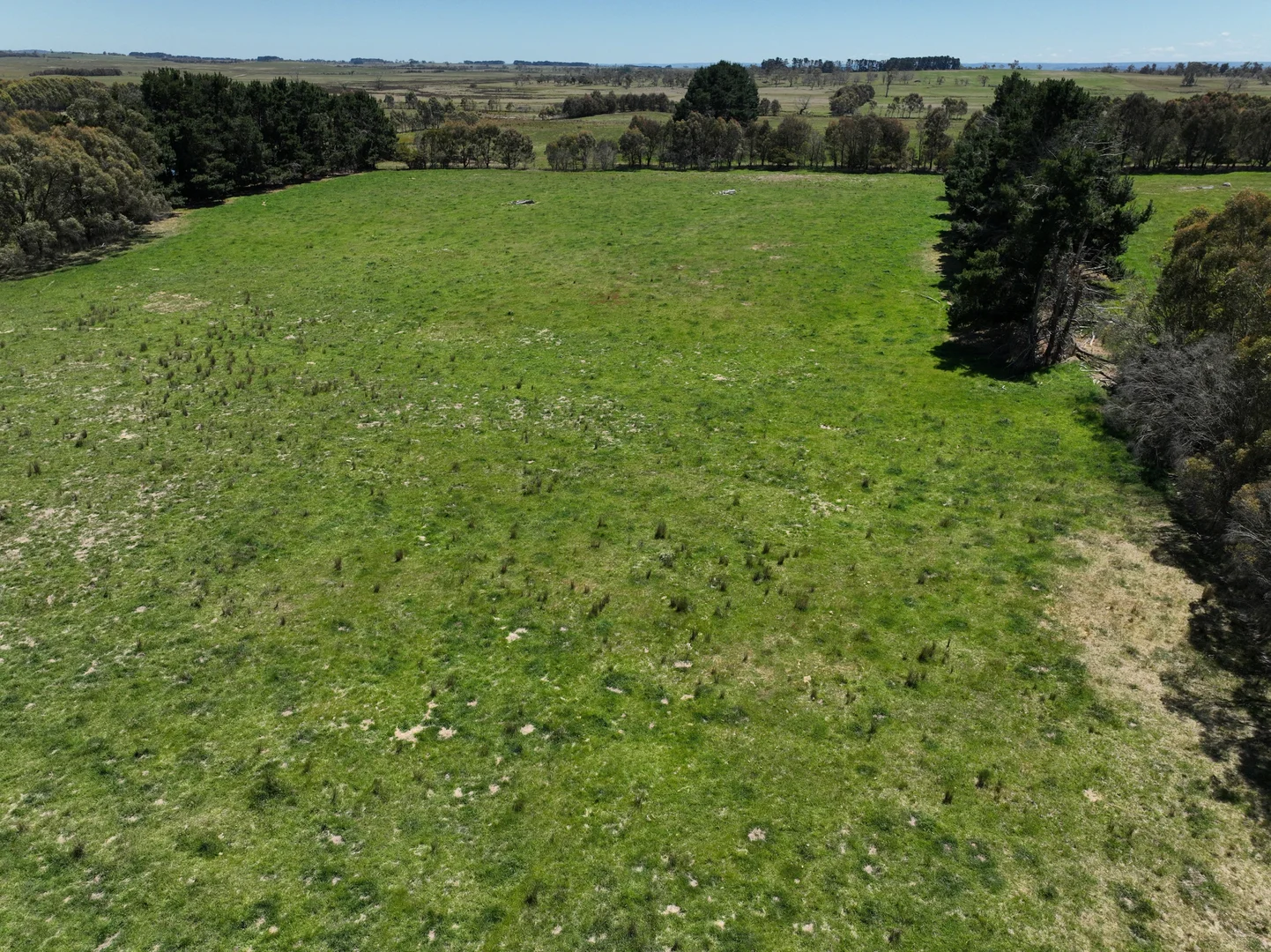 Additional image 8 of Lot 1 Mount Rae Road, Roslyn, Crookwell NSW 2583