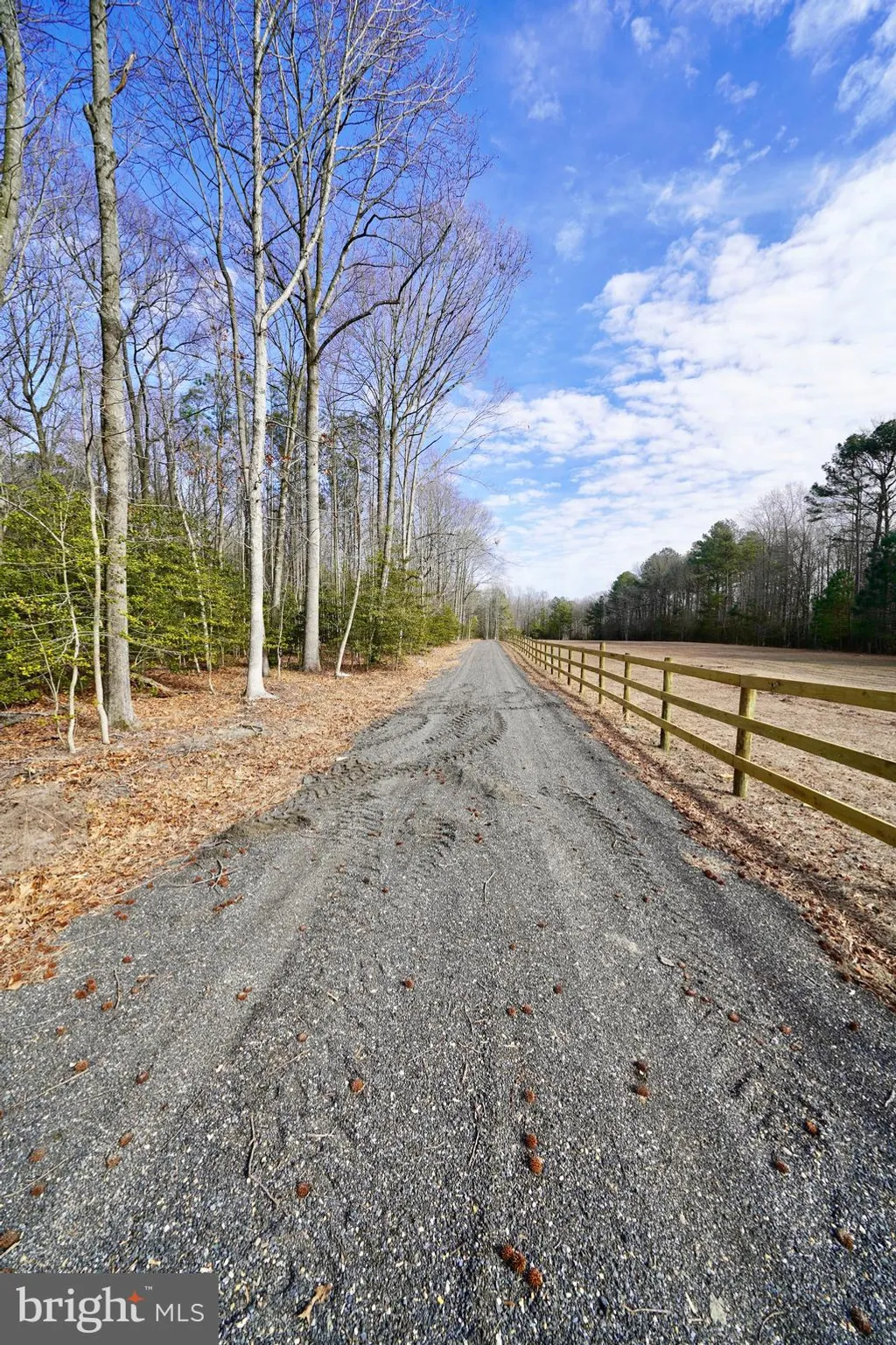 Additional image 11 of Lot 1 Megan Joy Road, Lincoln, DE 19960