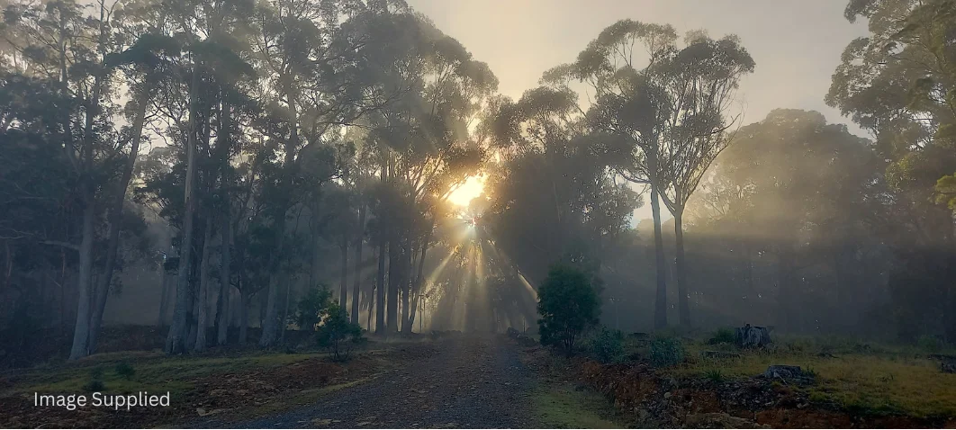 Additional image 5 of 295 German Town Road, St Marys TAS 7215