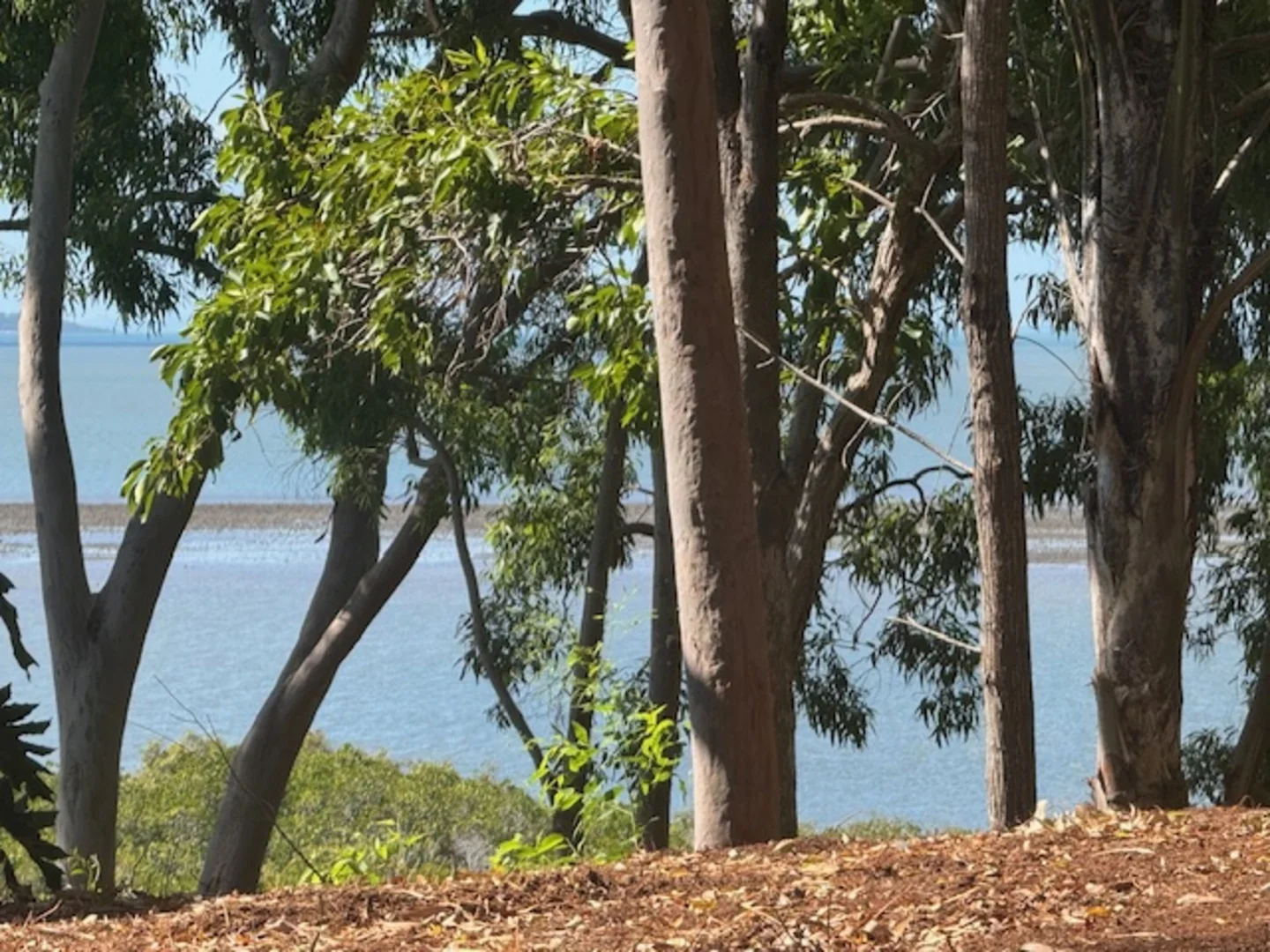 Additional image 2 of 34 Blue Waters Crescent, Macleay Island QLD 4184