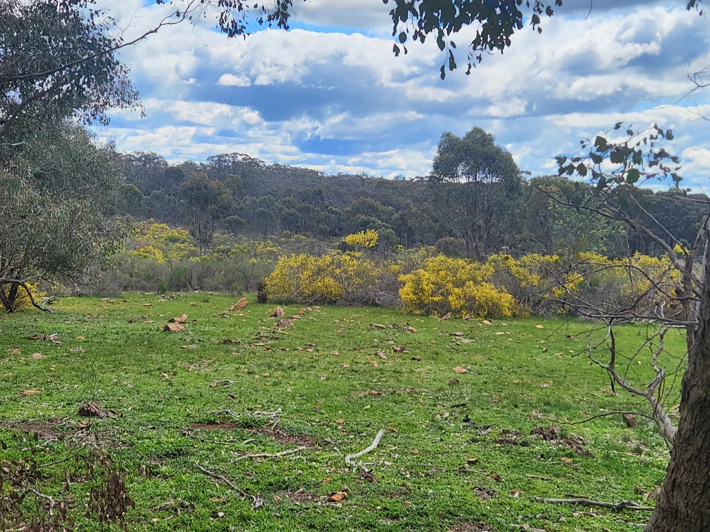 Additional image 15 of 244 Killeens Lane, Derrinal VIC 3523