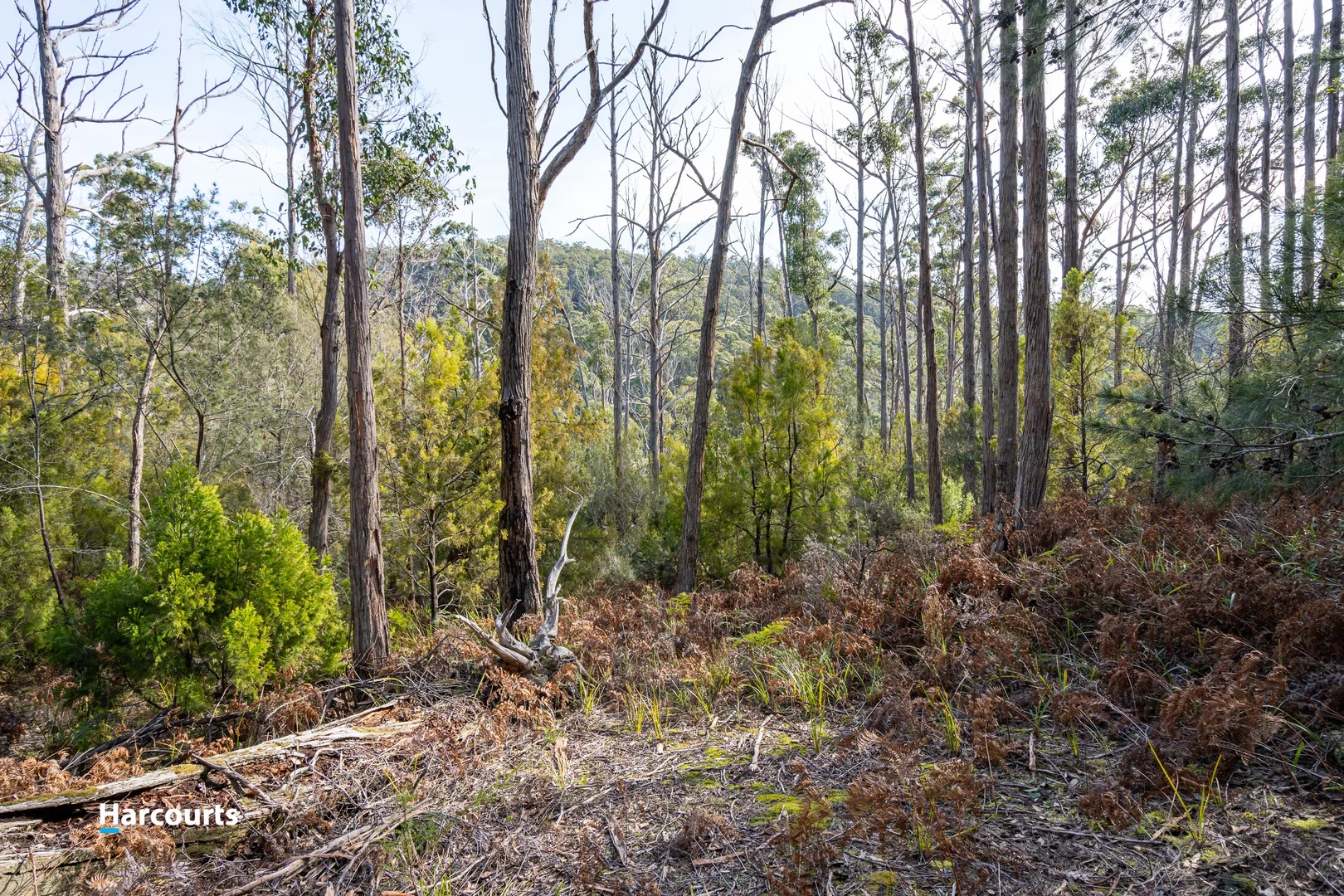 Additional image 3 of 44 Klasen Road, Police Point TAS 7116