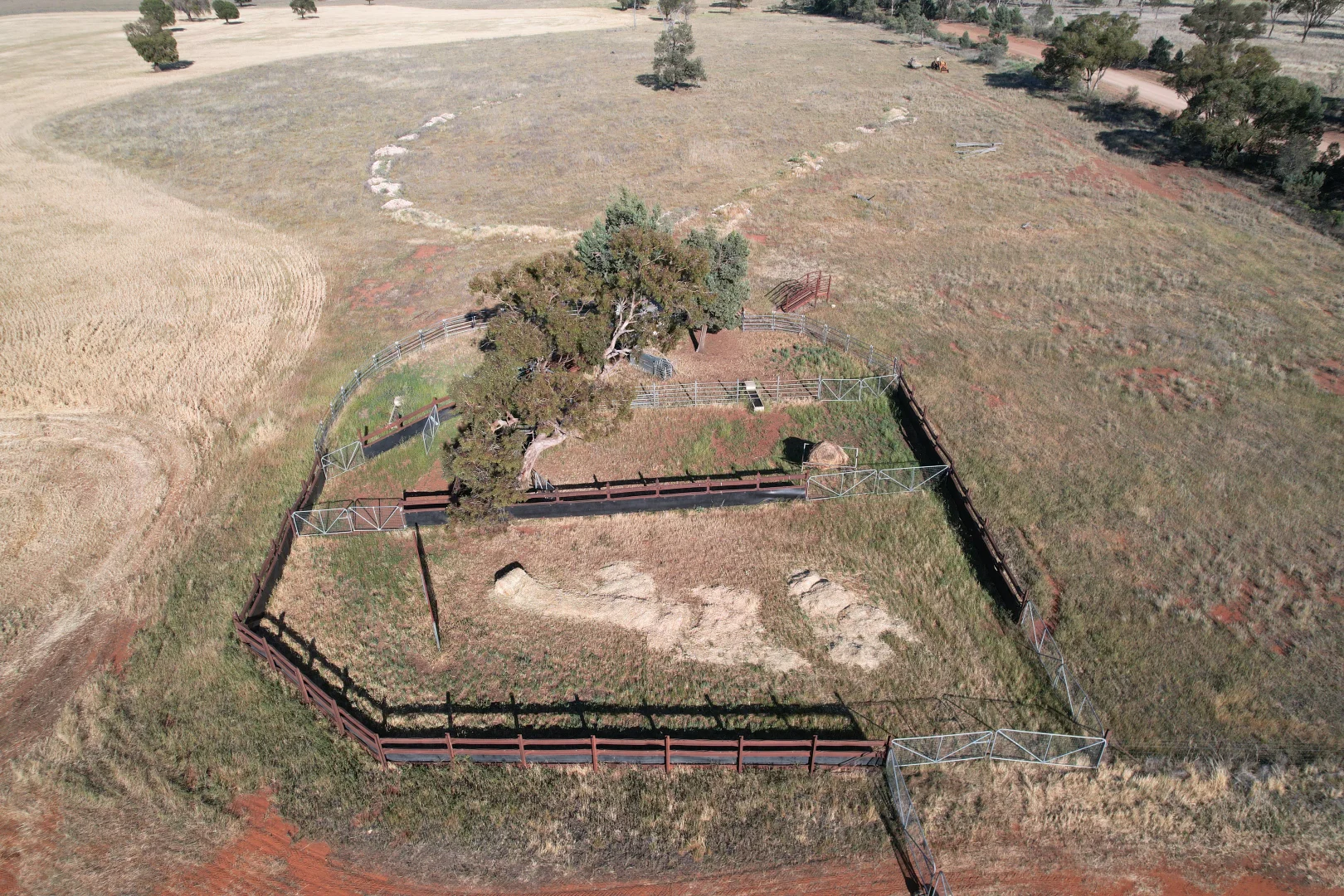 Additional image 15 of 'Boree Glen' 456 Whymarks Lane, Tullibigeal NSW 2669