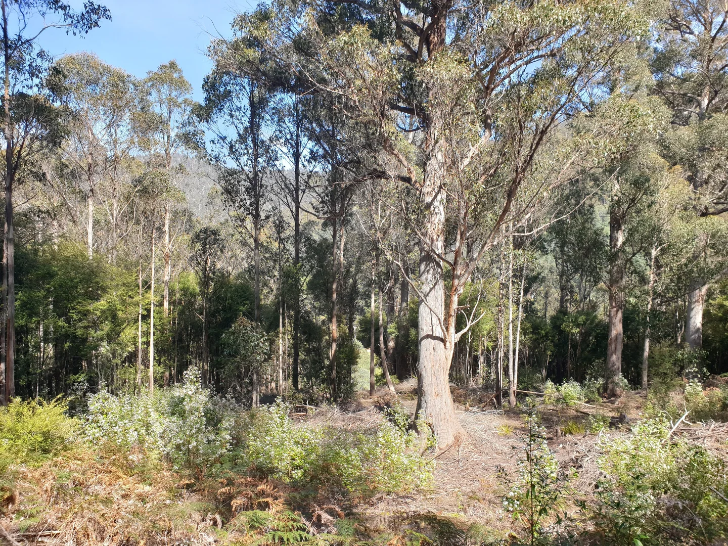 Additional image 21 of 362 Bakers Creek Road, Lucaston TAS 7109