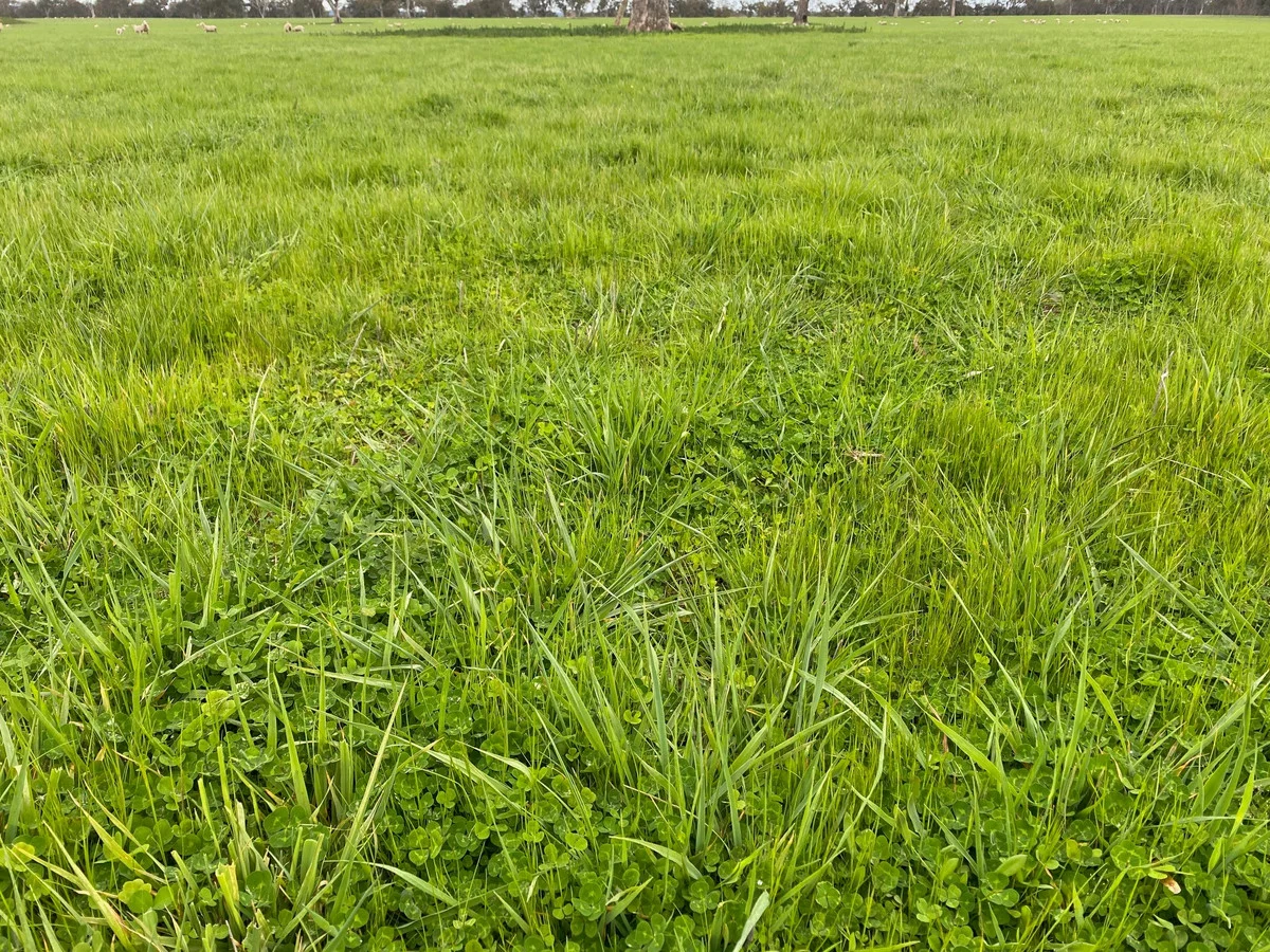 Additional image 7 of 813 Yarramyljup Road, Rocklands VIC 3401