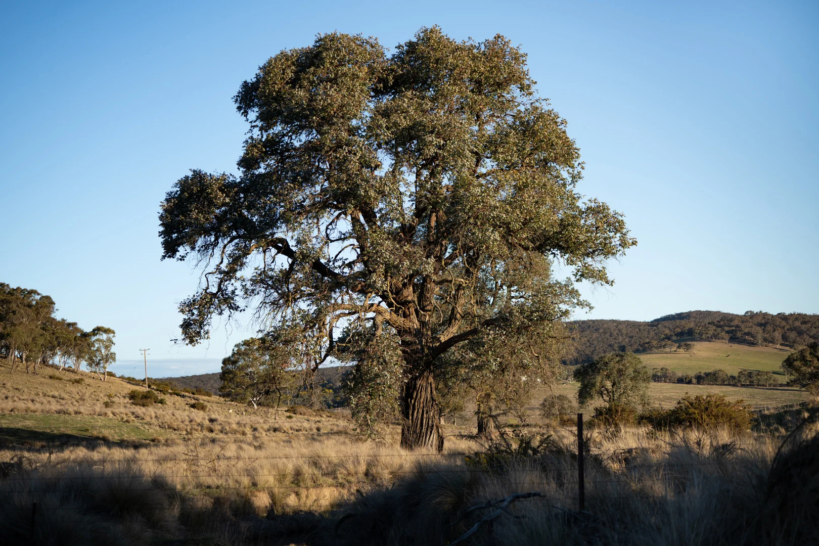 Additional image 13 of 785 Thornford Road, Goulburn NSW 2580