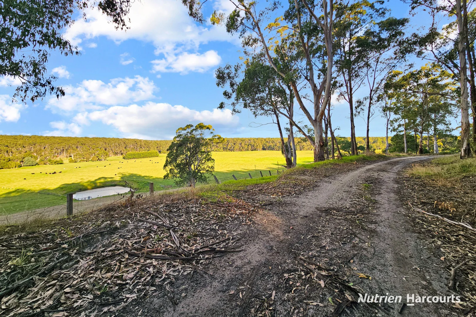 Additional image 23 of 4443 Hyland Highway, Won Wron VIC 3971