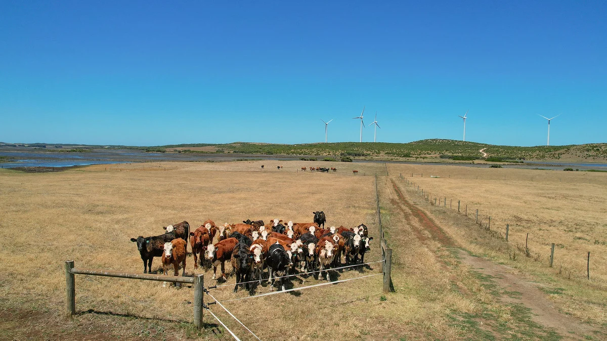 Additional image 26 of 4577 Princes Highway, Yambuk VIC 3285