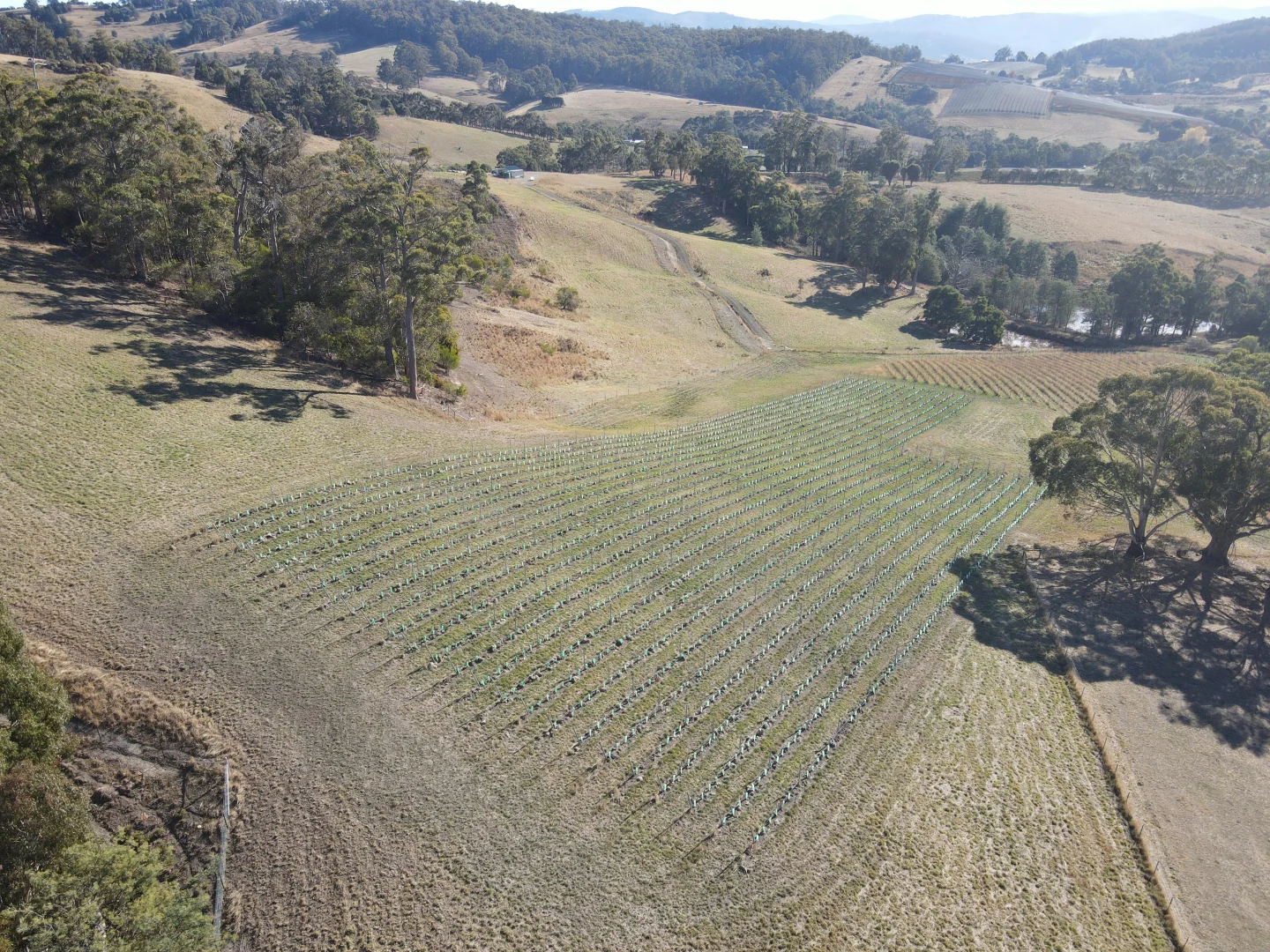 Additional image 8 of Lot 1 Wallace Road, Cygnet TAS 7112