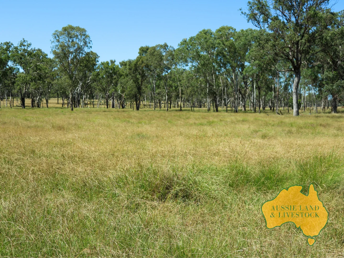 Additional image 6 of 629 Stuart Valley Drive, Haly Creek QLD 4610