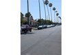 Additional image 19 of 203 W 77th St, Los Angeles, CA, 90003