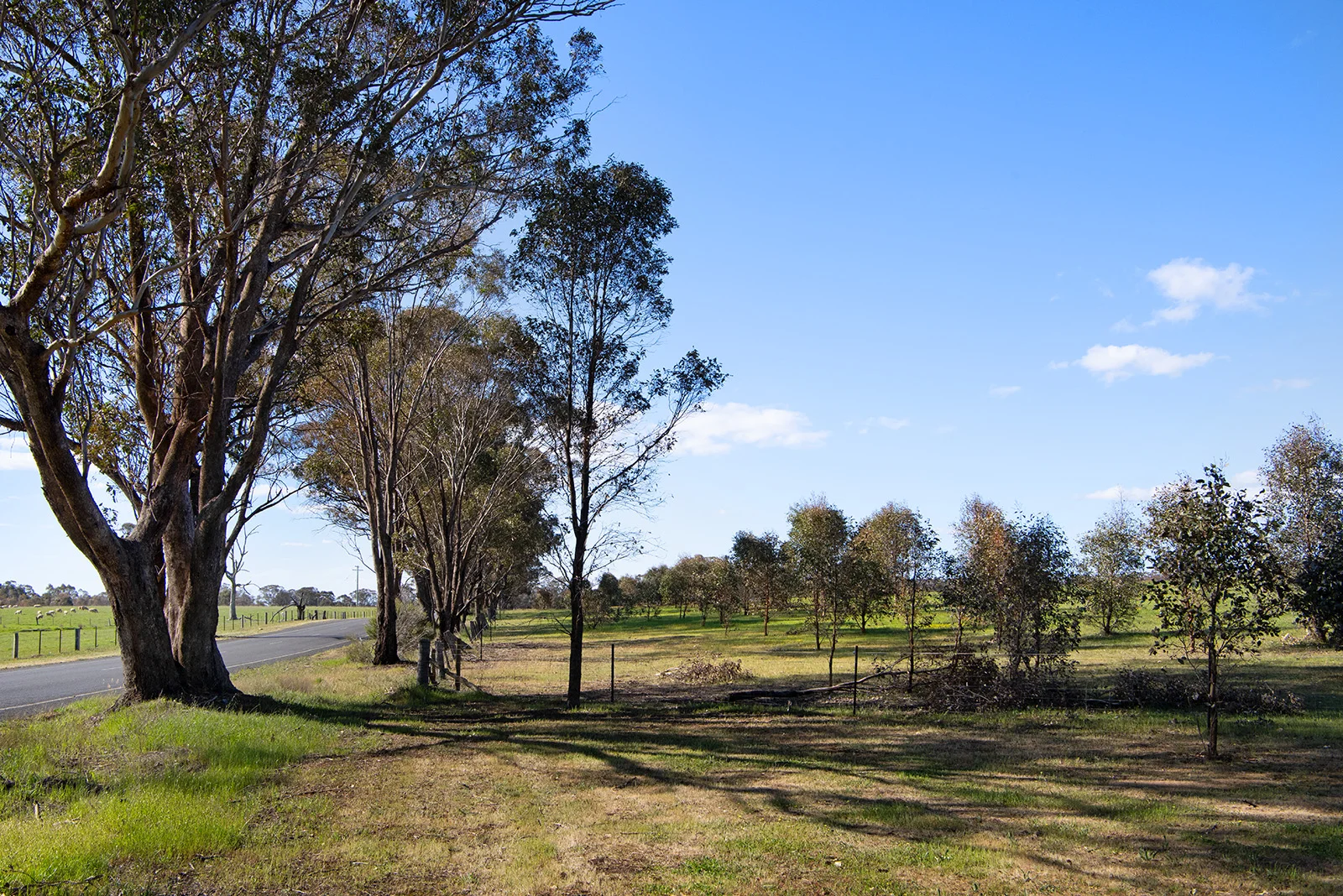 Additional image 6 of 4 Axe Creek Road, Axe Creek VIC 3551