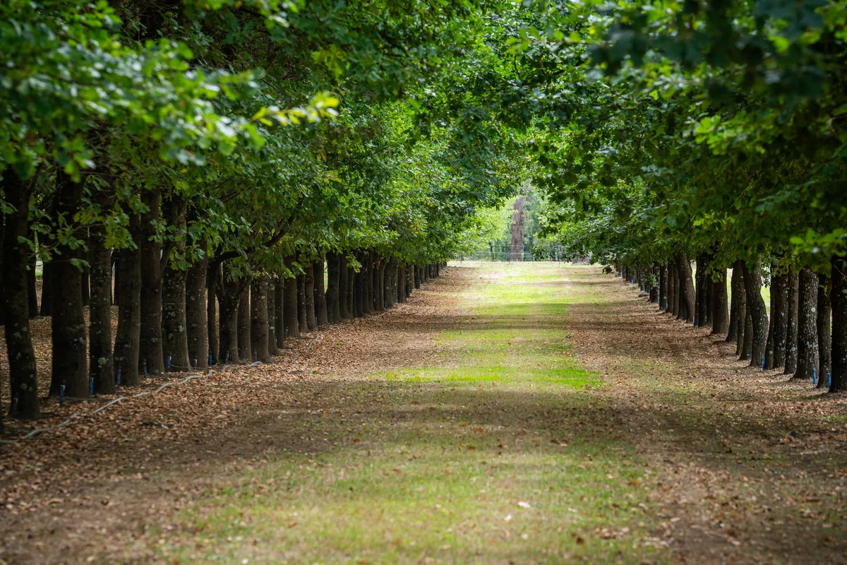 Additional image 24 of 5B McMahons Lane, Smoko VIC 3741