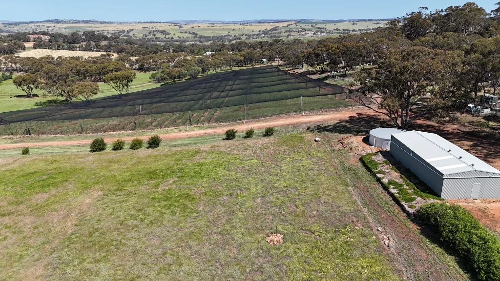 Additional image 40 of 9 Morris Edwards Drive, York WA 6302