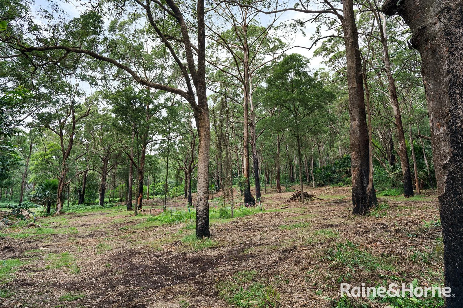 Additional image 15 of Lot 1 Selbys Road, Budgong NSW 2577
