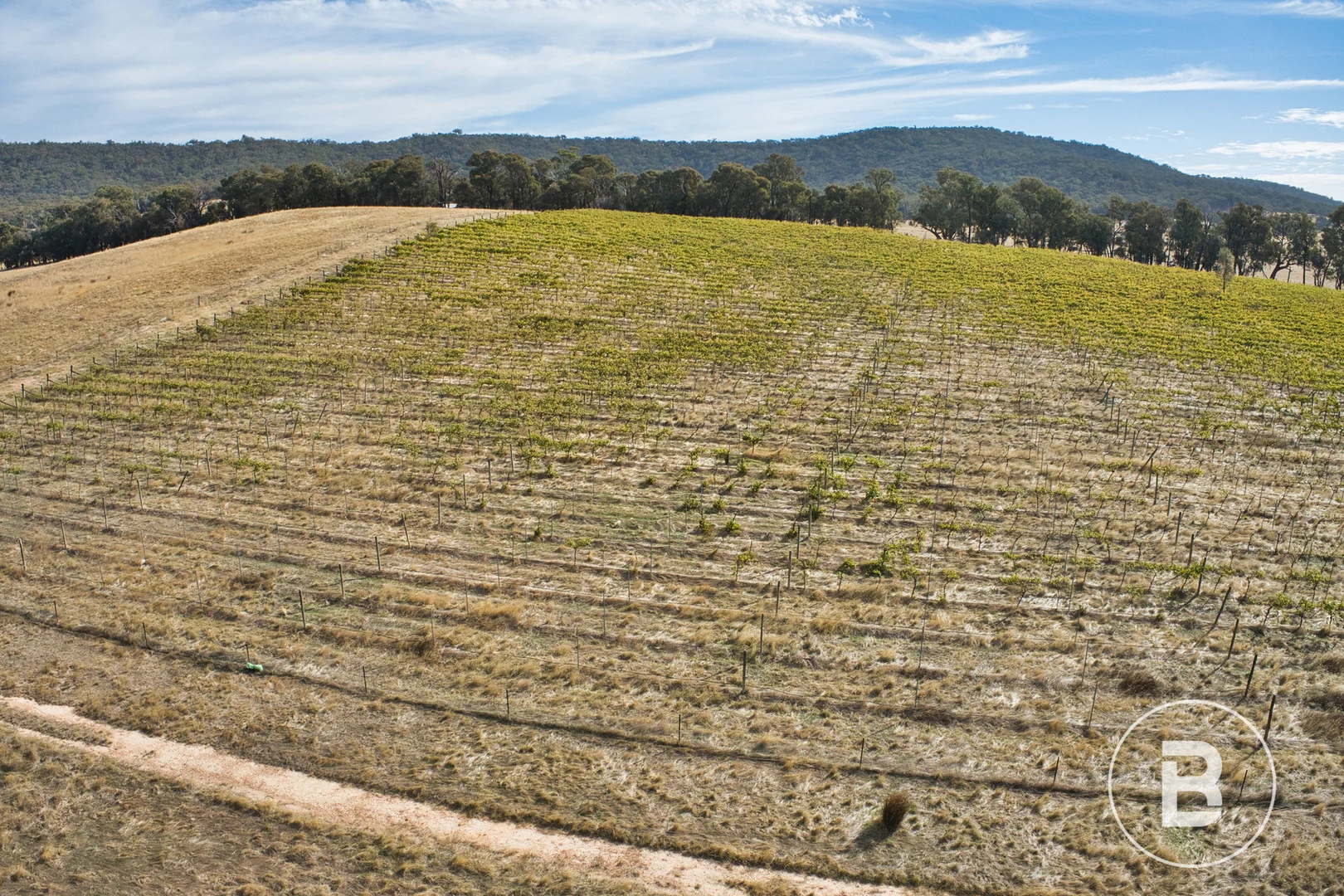 Additional image 6 of Murrells Lane, Frenchmans VIC 3384