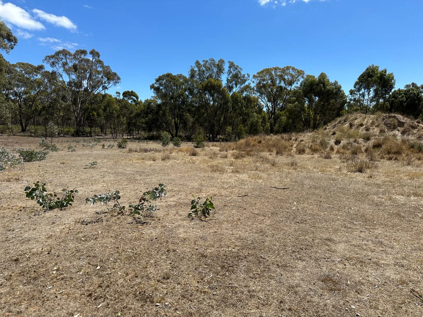 Additional image 4 of 206 Williams Road, Carisbrook VIC 3464