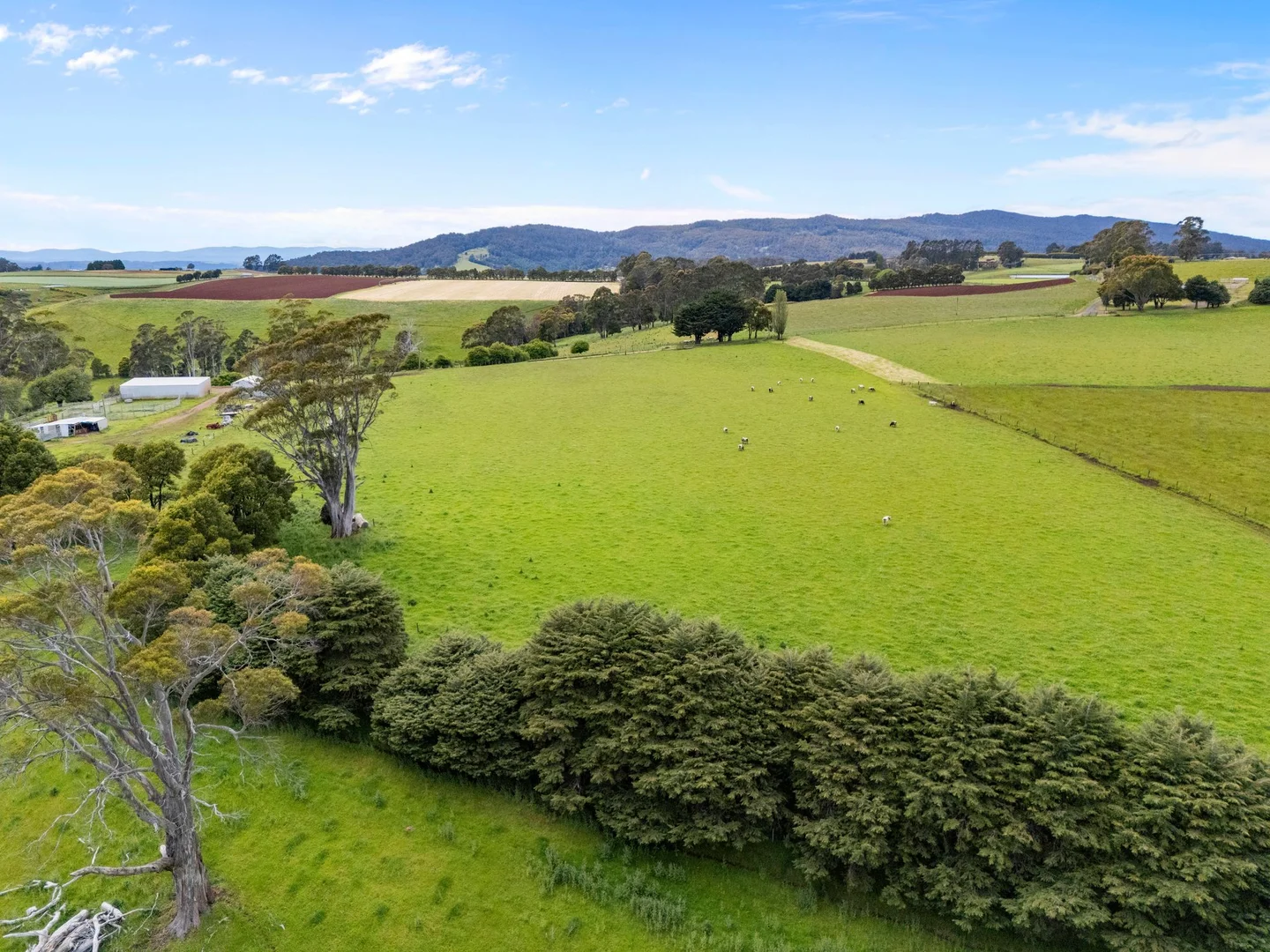 Additional image 30 of 69 Meads Road, Melrose TAS 7310