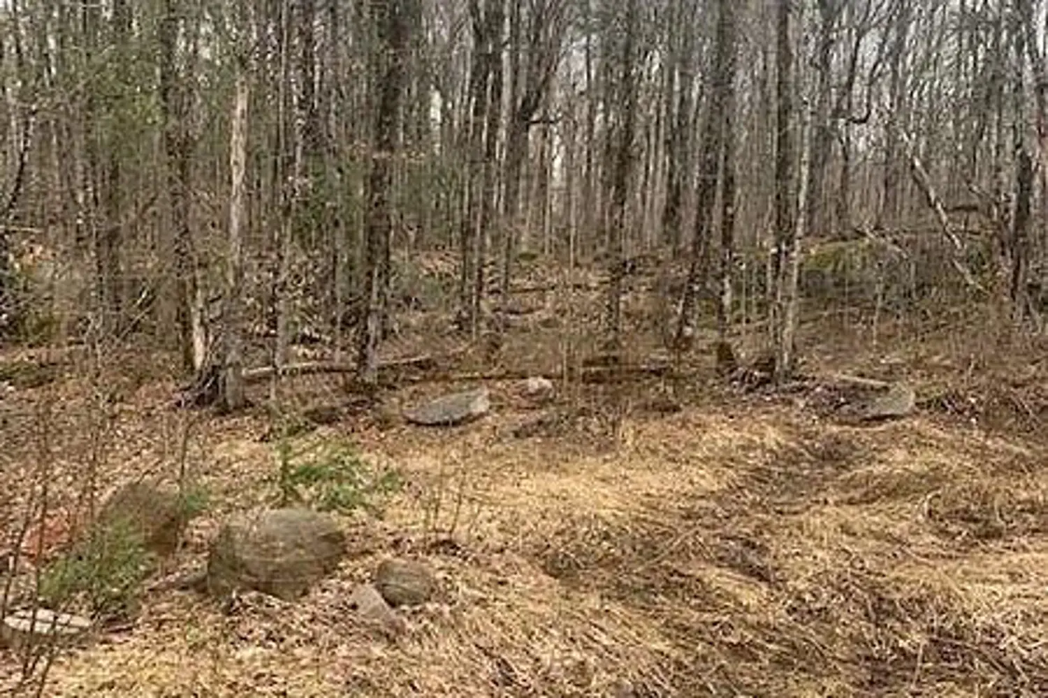 Additional image 9 of 1154 Delia Road