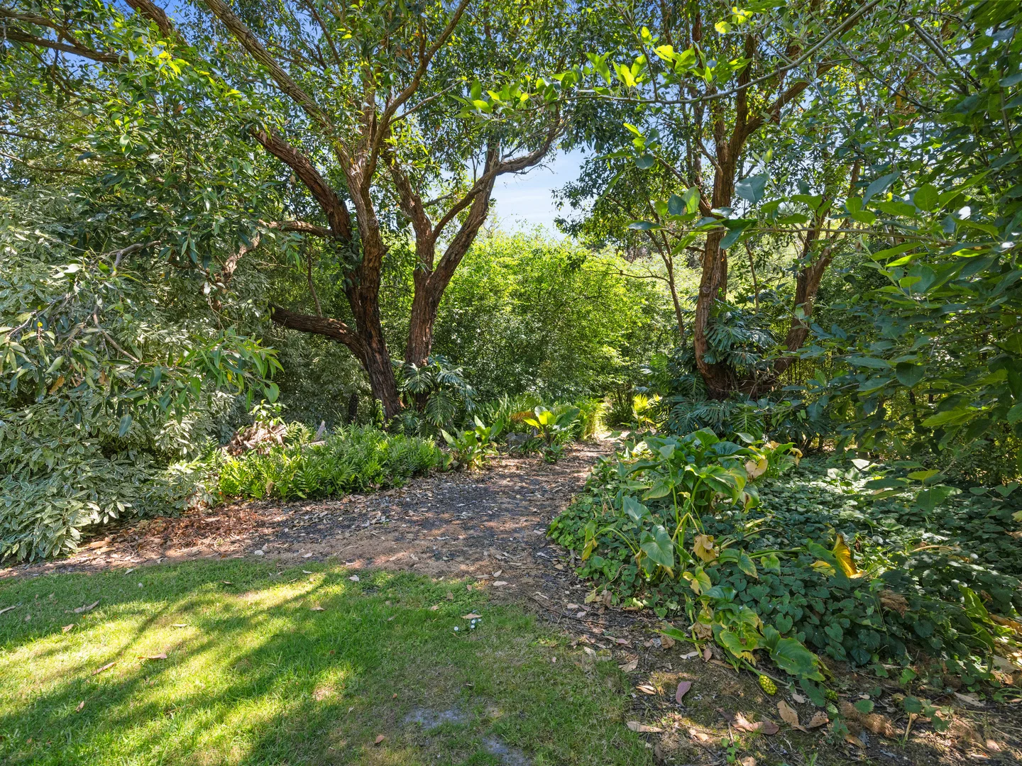 Additional image 25 of 48 Desmond Road, Wattle Bank VIC 3995