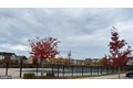 Additional image 15 of 508 Ladywell St, Middle River, MD, 21220
