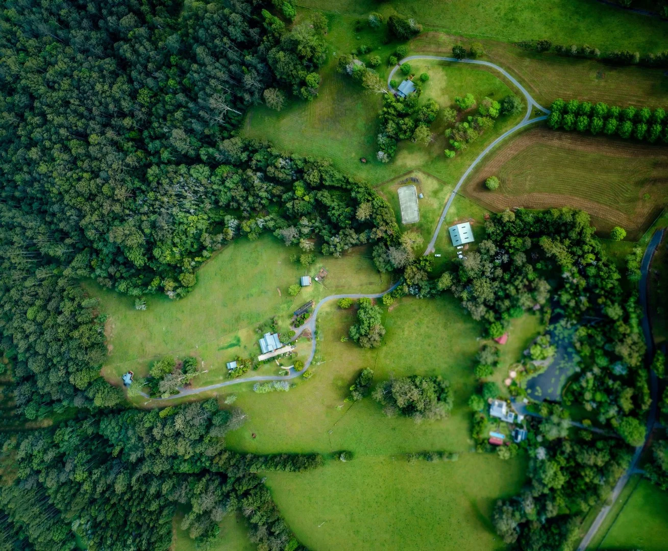 934 Promised Land Road, Bellingen NSW 2454