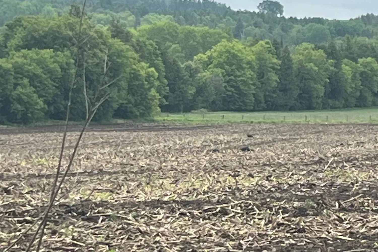 Additional image 4 of 2851 Church Street